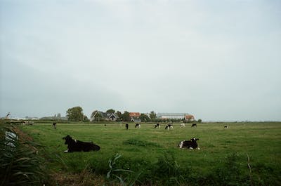farming