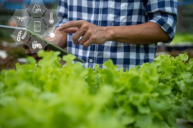 risk management in farm business